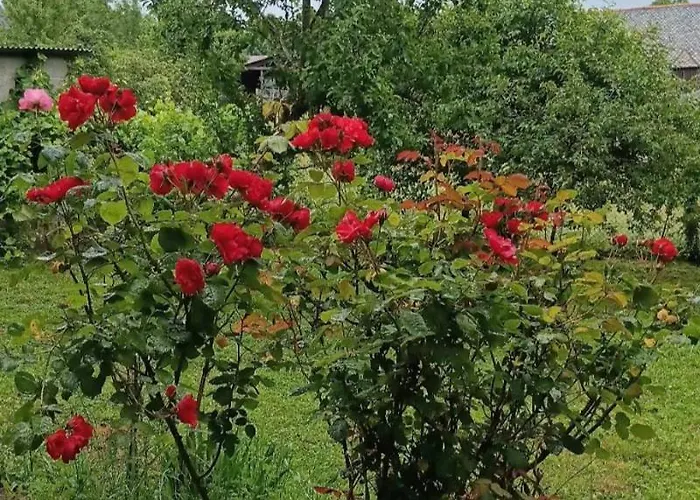 Chez Melanie Et Leon Sejour Nature Et Animau Villa